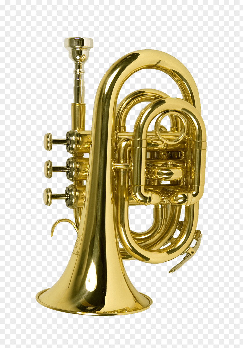 Giant Pocket Trumpet Musical Instruments Brass Saxophone PNG