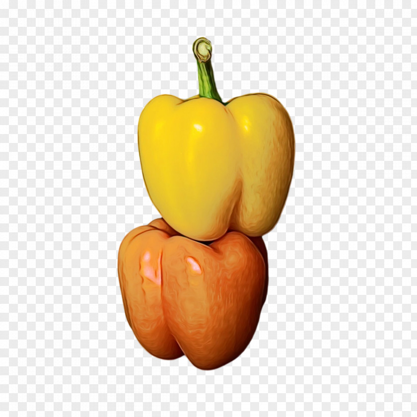 Habanero Squash Yellow Pepper Calabaza Winter PNG