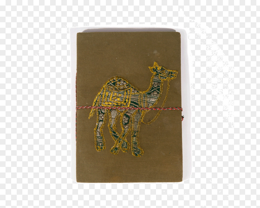 Jewelry Accessories Giraffe Fauna PNG