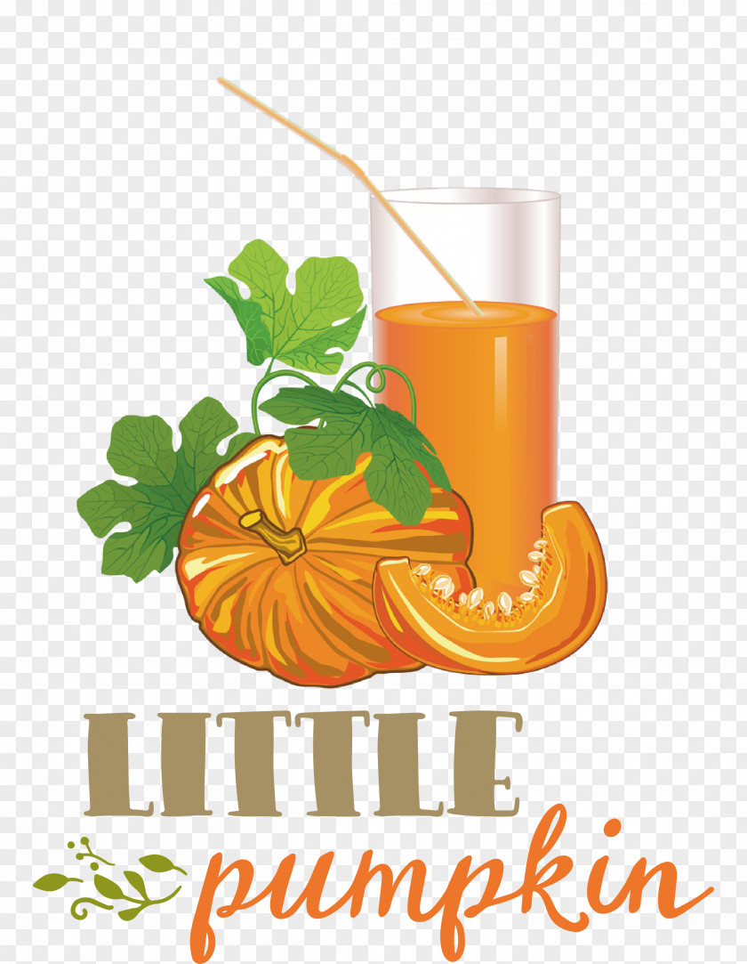 Little Pumpkin Thanksgiving Autumn PNG