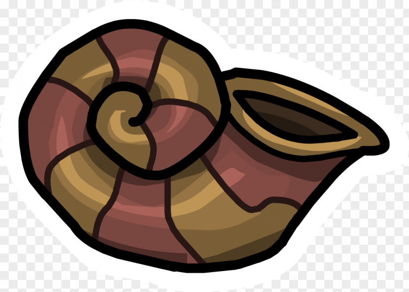 Seashells Club Penguin Conch Animation Clip Art PNG