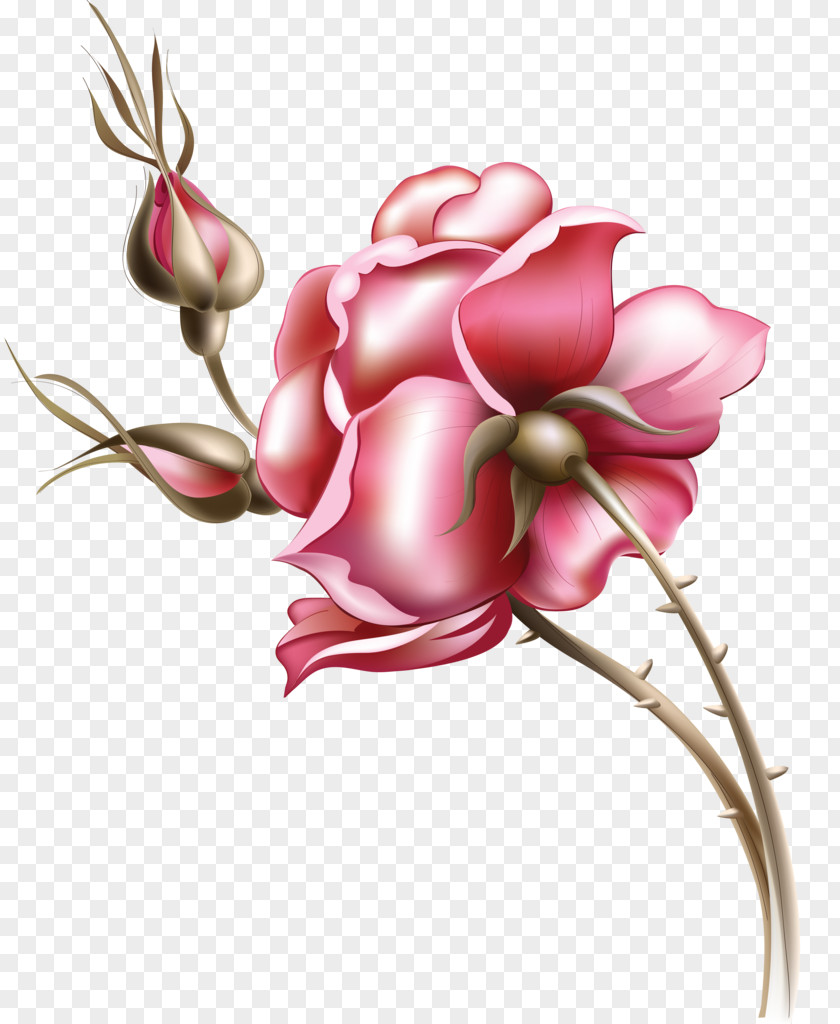 Tmall Wedding Fair Rose Flower Floral Design PNG