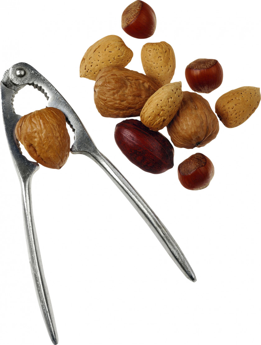 Walnut Dried Fruit Peanut Nuts PNG