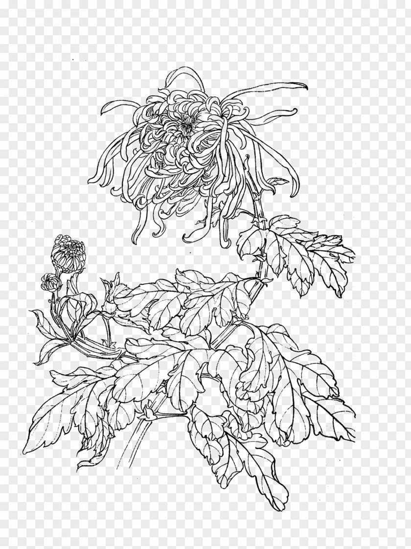 Chrysanthemum Manual Of The Mustard Seed Garden U767du63cfu753b Gongbi Chinese Painting PNG