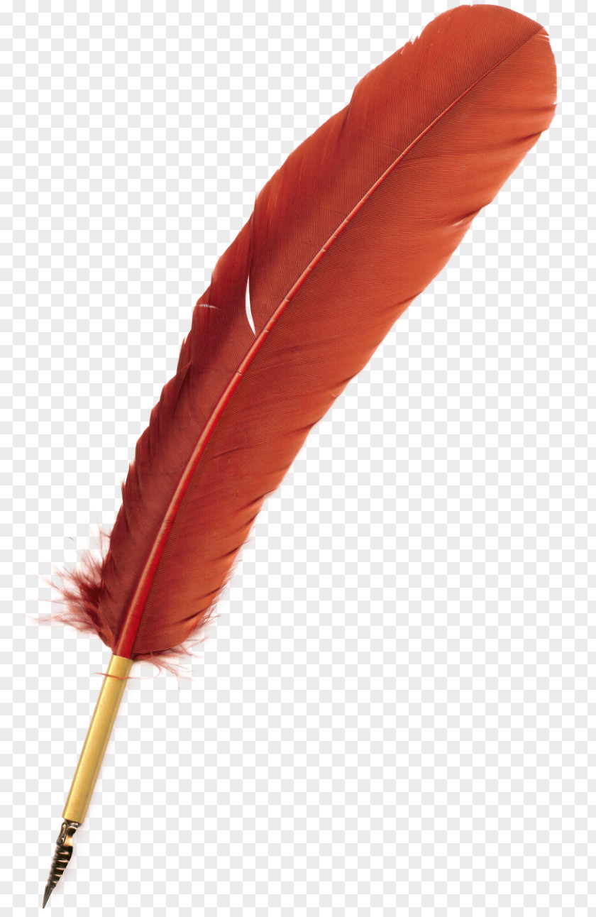 Feather Bird Quill Pen PNG