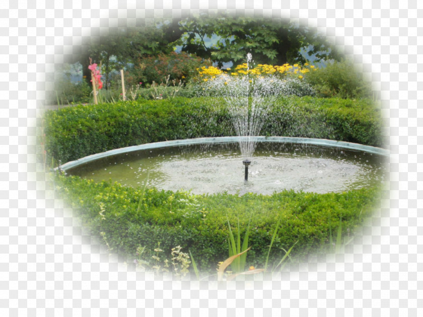 Garden Elements Water Resources Pond Feature Lawn PNG