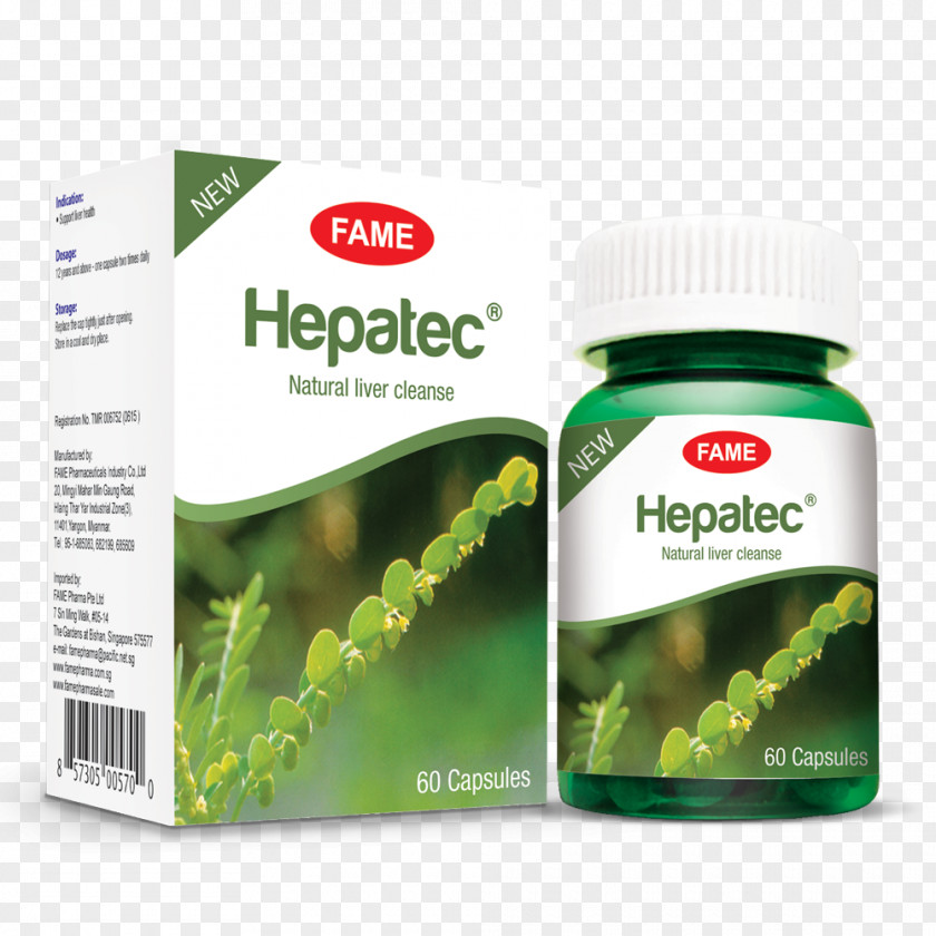 Health Dietary Supplement Herbalism Pharmaceutical Drug MedlinePlus PNG