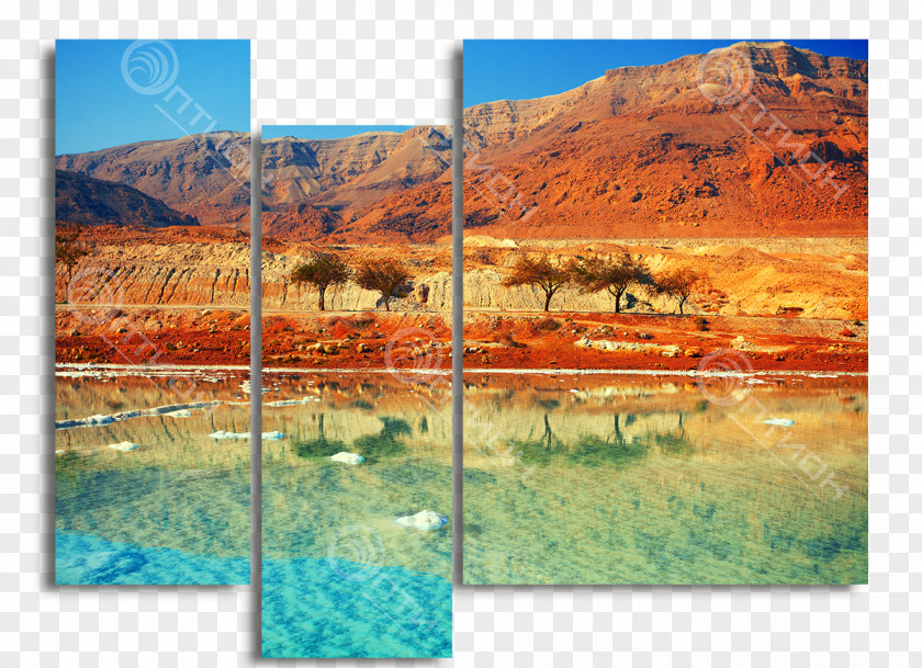 Kartini Dead Sea Ein Bokek Masada Eilat Tour Guide PNG