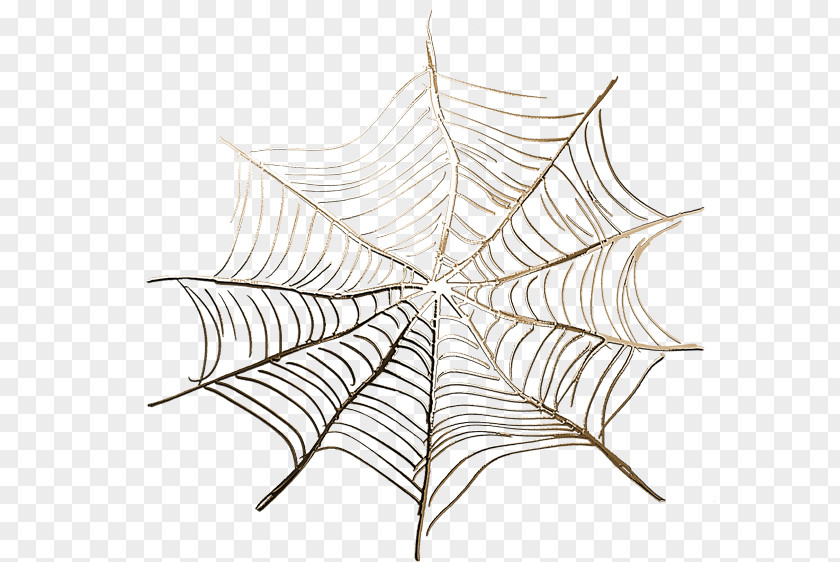 Synthetic Spider Web Euclidean Vector Icon PNG