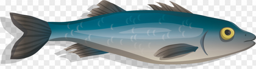 Vector Delicious Seafood Fish Drawing PNG