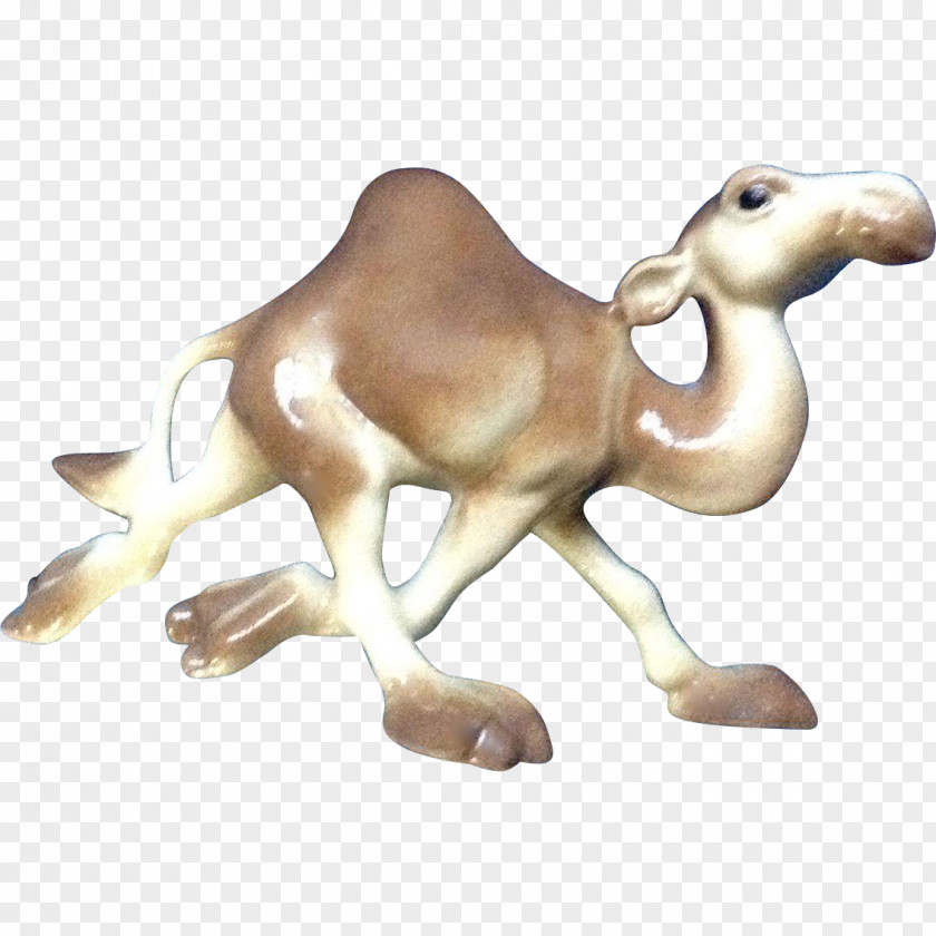 Camels Camel Animal Figurine Fauna PNG