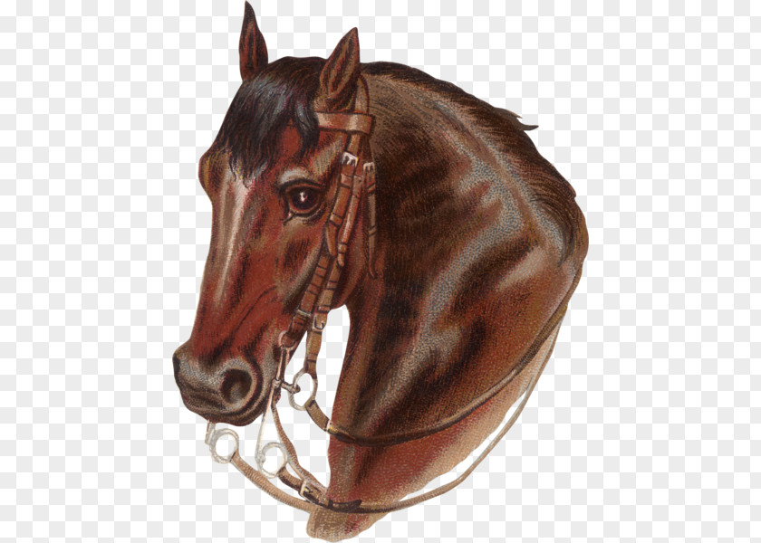 Horse Prairie: The Legend Of Charles Burton Irwin.. Irwin And Y6 Ranch Cross Stitch Patterns Cross-stitch PNG