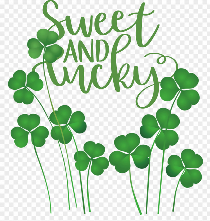 Sweet And Lucky St Patricks Day PNG