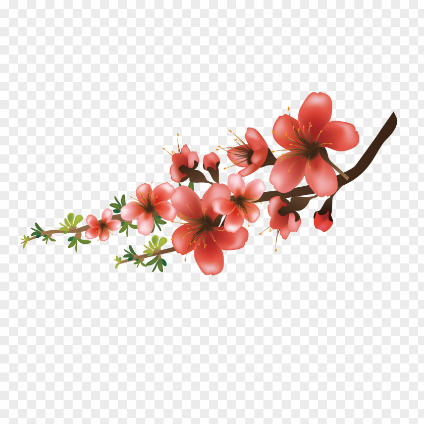 Vector Japanese Pretty Cherry Blossoms Quotation Value Of Life Love PNG