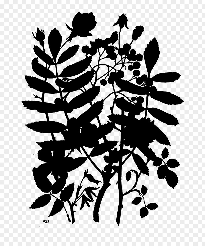 Visual Arts Silhouette Illustration Flower Plant Stem PNG