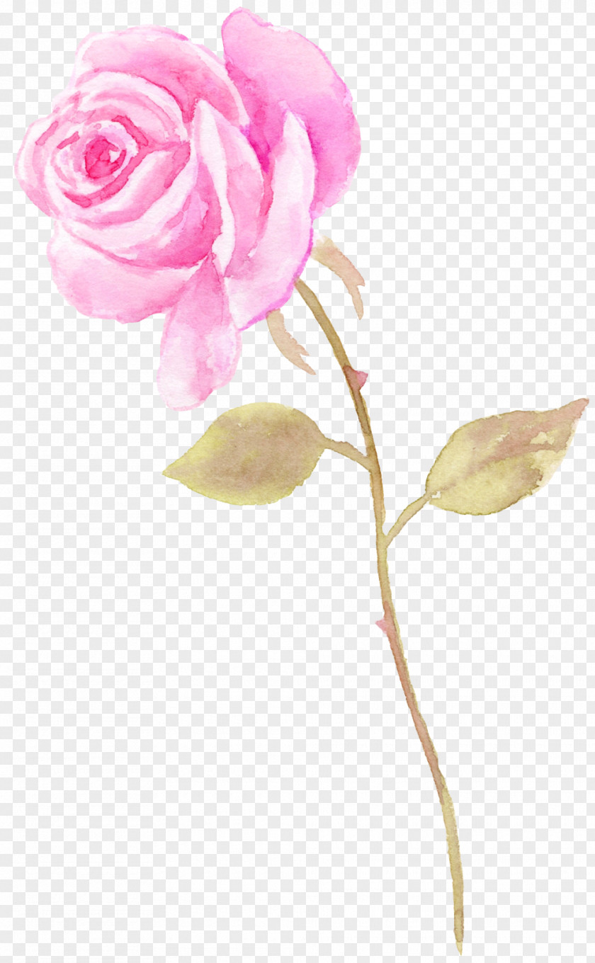 Watercolor Flowers Garden Roses Painting Flower PNG