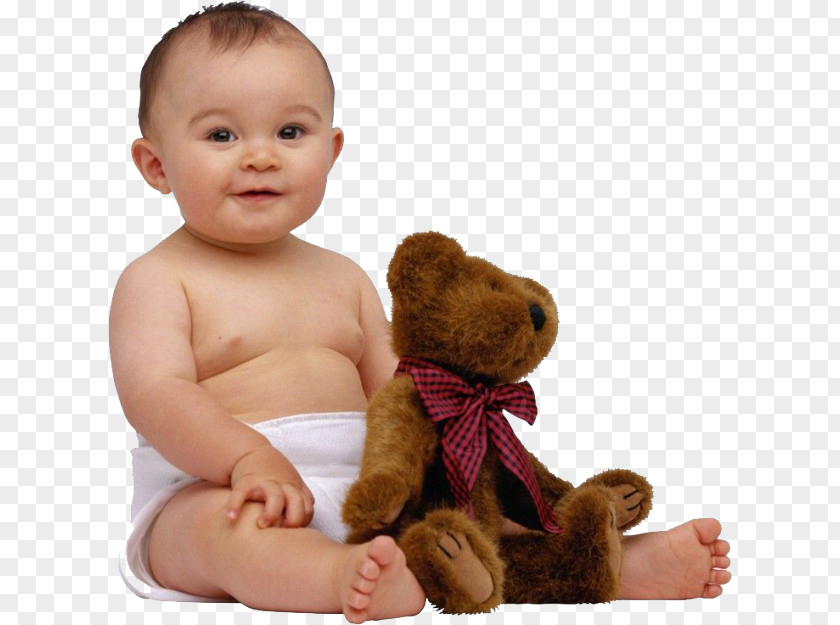 Baby Bear Infant Toy PNG