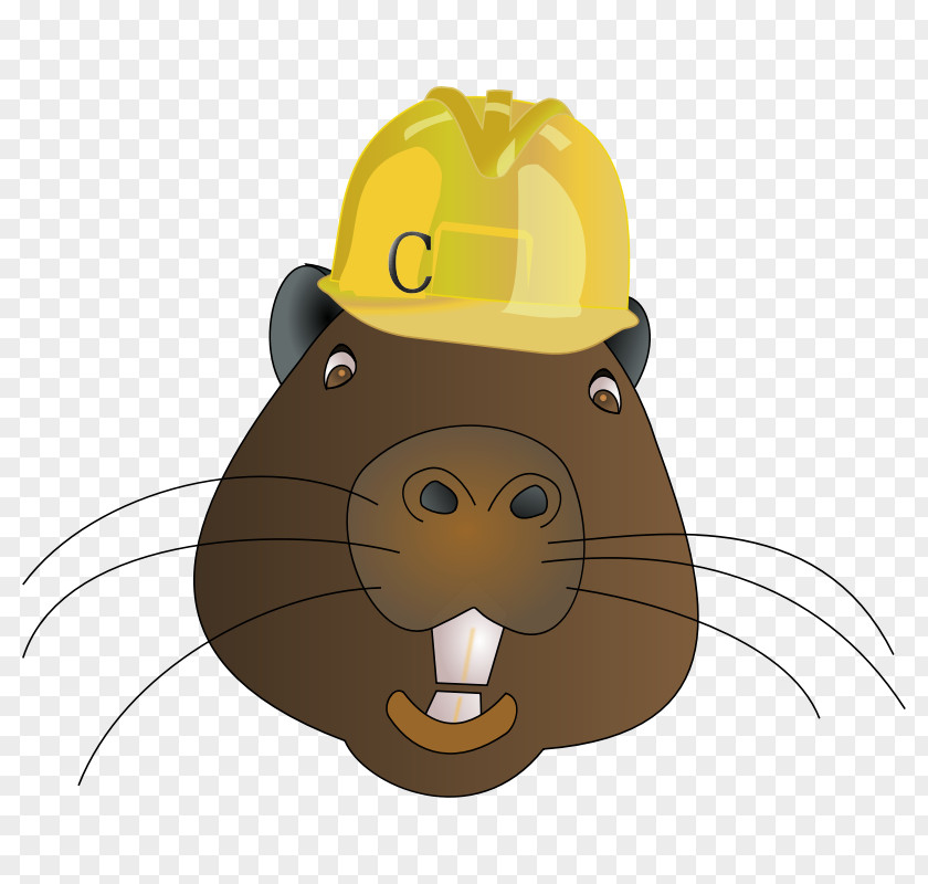 Cartoon Beaver Images Rodent Animal Illustration PNG