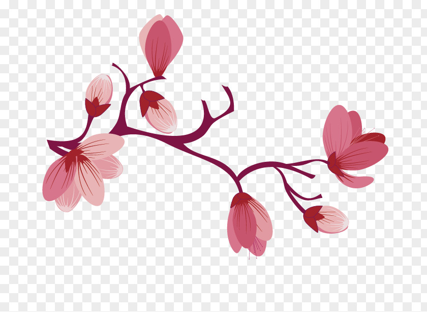 Cherry Blossom Image Flower Rose PNG