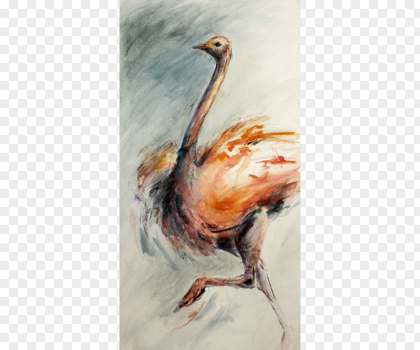 Chicken Watercolor Painting Pope Bird PNG