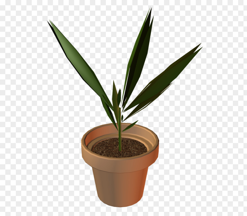 Flower Flowerpot Houseplant Clip Art PNG