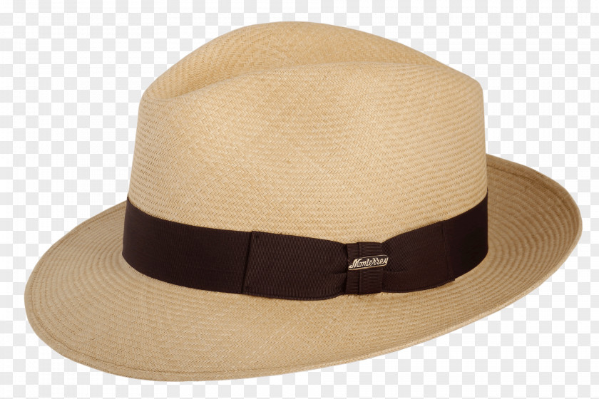 Hat Fedora Pork Pie Carludovica Palmata Straw PNG