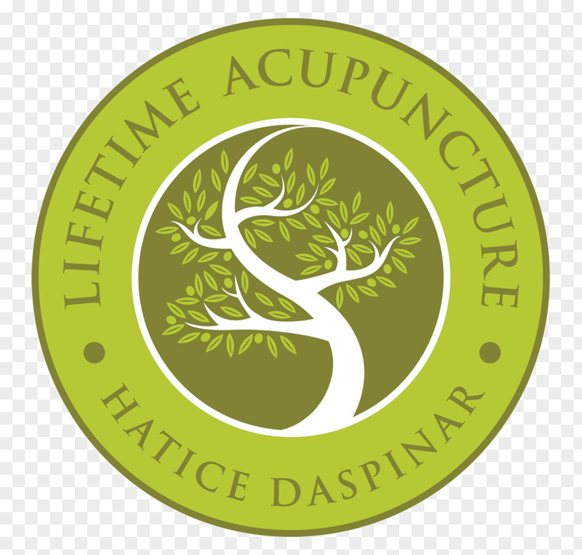 Health Lifetime Acupuncture New York College Of Traditional Chinese Medicine PNG