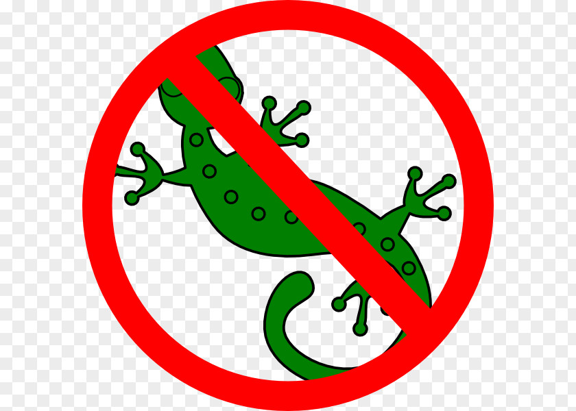 Lizard Clip Art Reptile Chameleons Gecko PNG
