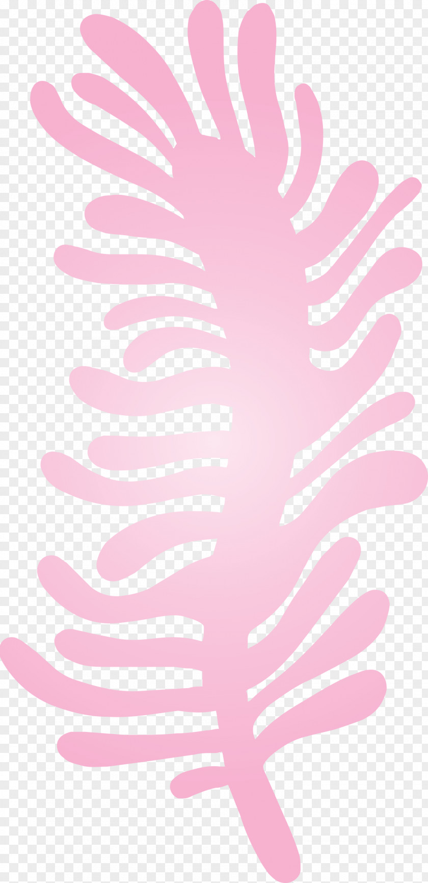Petal Pink M Font Line Meter PNG