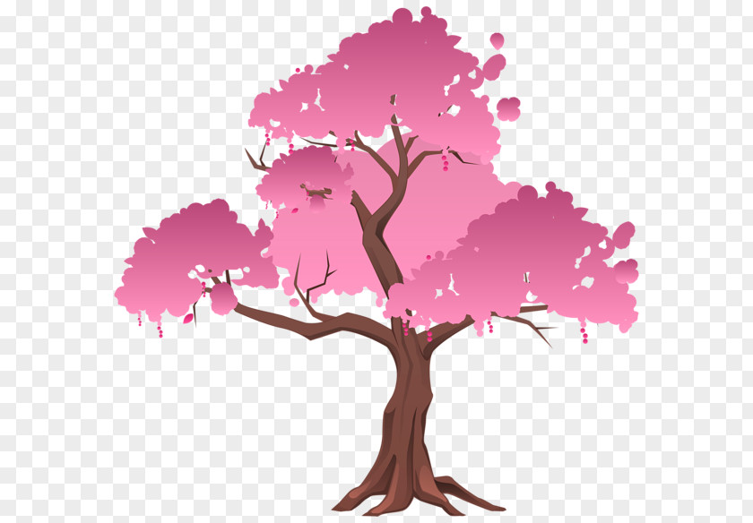 Pink Cherry Tree Japanese Maple Red Bonsai Clip Art PNG