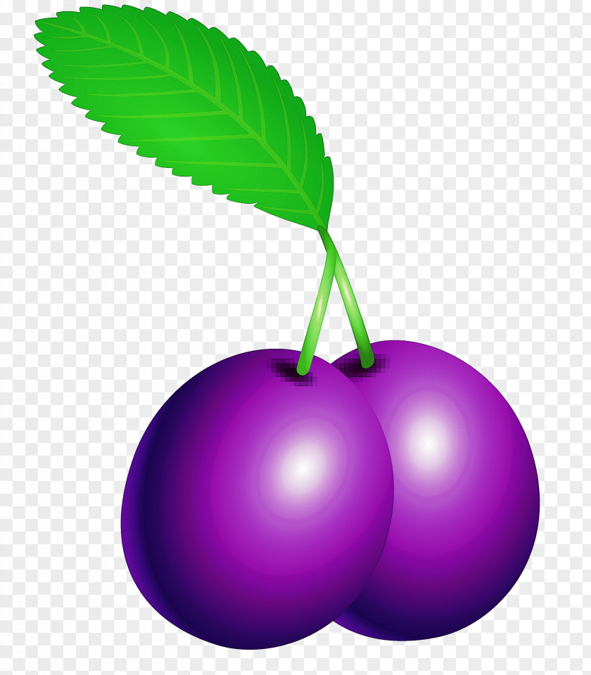 Prune Fruit PNG