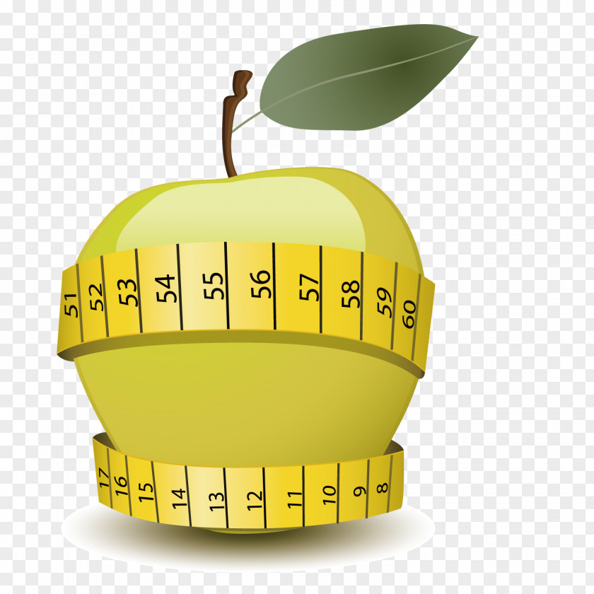 Vector Slimming Apple Eating Food Clip Art PNG