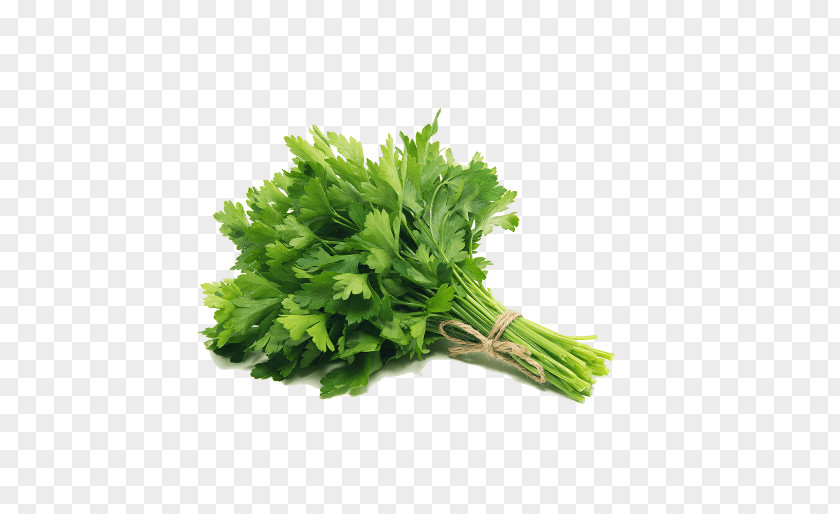 Vegetable Dish Herb Parsley Root Food PNG