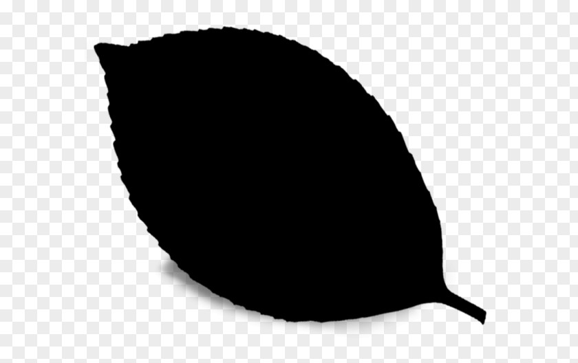 M Leaf Line Black & White PNG