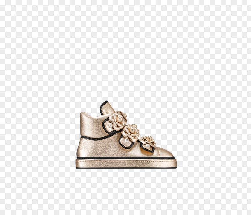 Sandal Shoe Silver Brown PNG