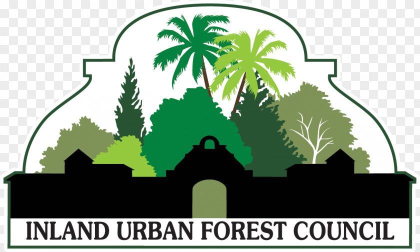 Treasurer Vector Urban Forest Tree Management Community Forestry PNG