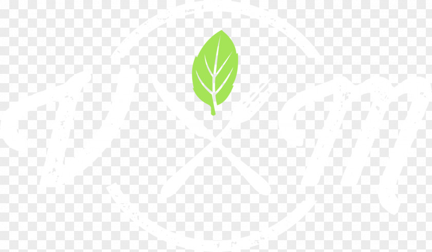 Vibrant Leaf Logo Brand PNG