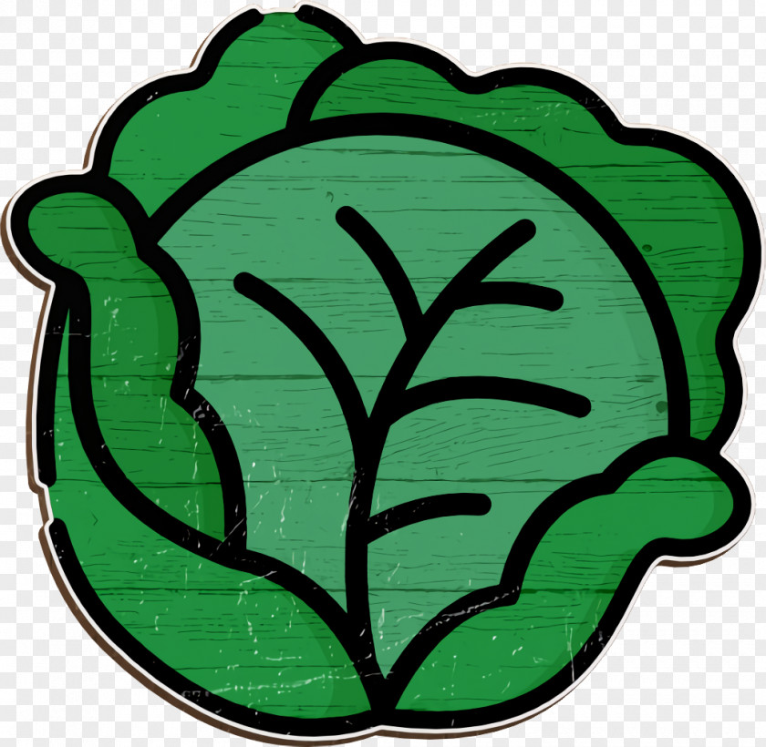 Cabbage Icon Vegetarian Fruits & Vegetables PNG