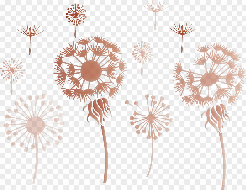 Dandelion PNG