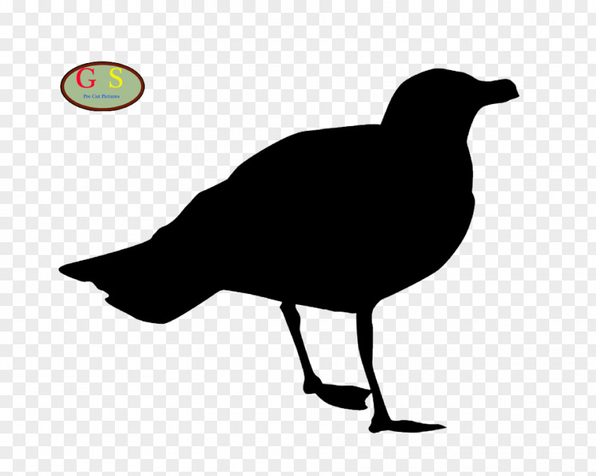 Forum Bird Stock Photography Silhouette Gulls PNG