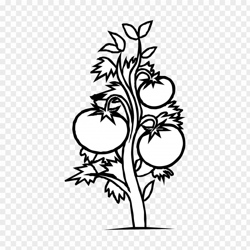 Plants Clip Art Plant Cell Flowering Black And White PNG