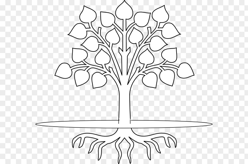 Roots Clipart Tree Root Branch Drawing Clip Art PNG