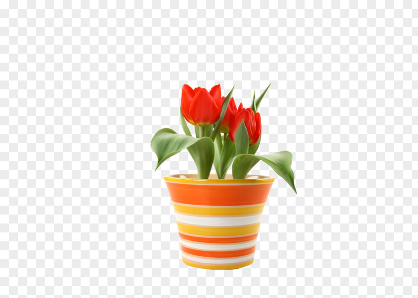 Tulip Flowerpot Saucer Plastic Crock PNG