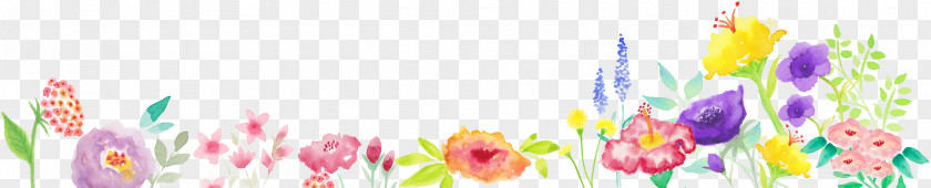 WordPress Floral Design Template Theme Blog PNG