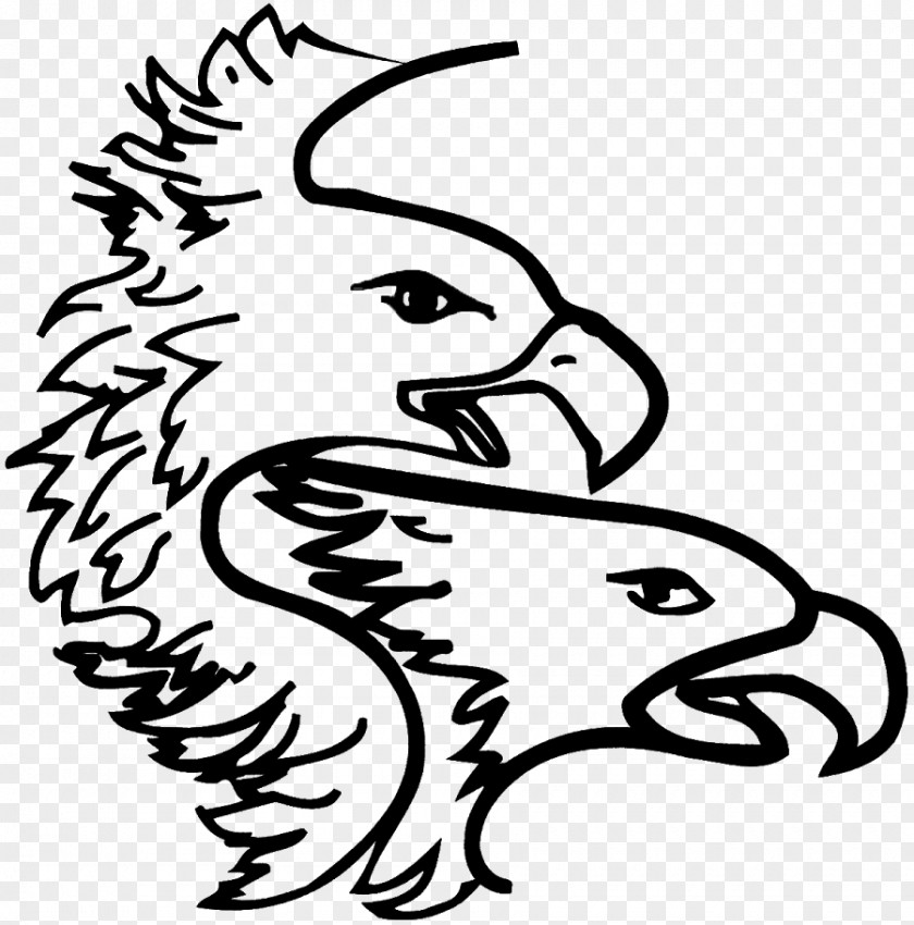 Eagle Drawing Illustration Clip Art Beak PNG