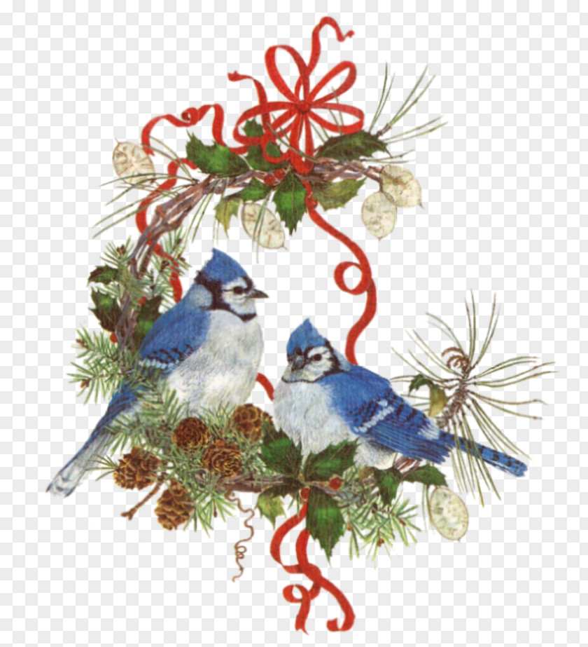 J Bird Christmas Ornament Decoration PNG