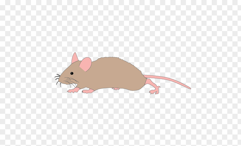 Mouse Running Cliparts Mickey Rat Computer Clip Art PNG