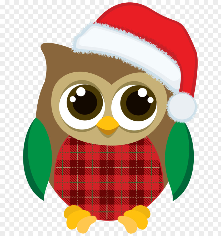 Owl Christmas Graphics Clip Art Day PNG