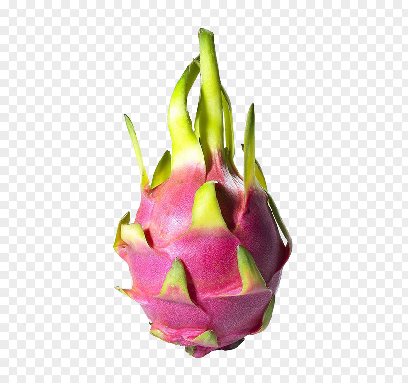 A Dragon Fruit Pitaya Auglis Download PNG