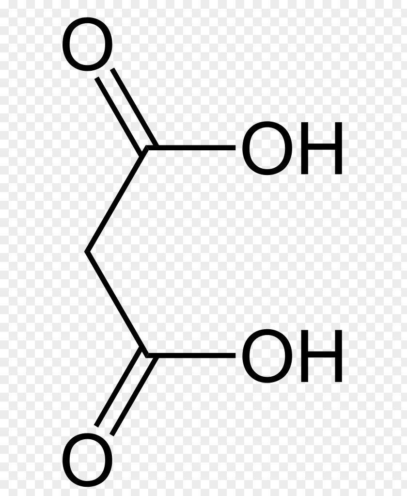 Carboxylic Acid Molecule Propionic Amino PNG